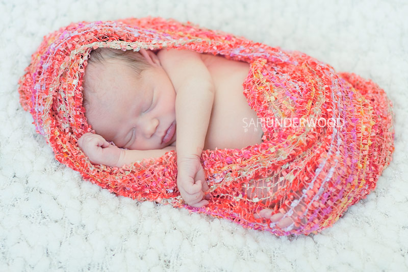 Central Florida newborn photographer