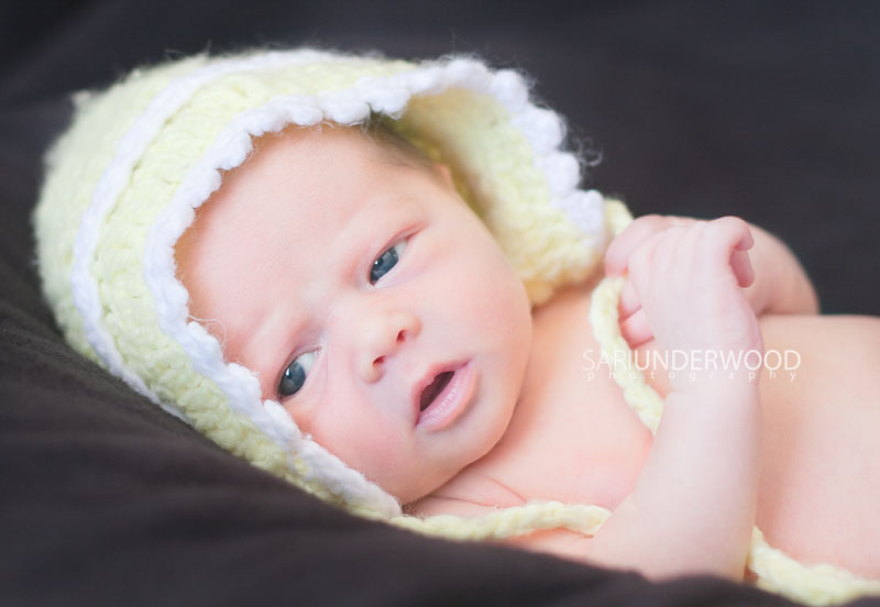 Central Florida newborn photographer