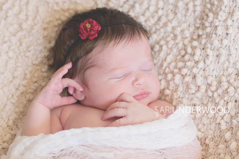 Orlando newborn photographer