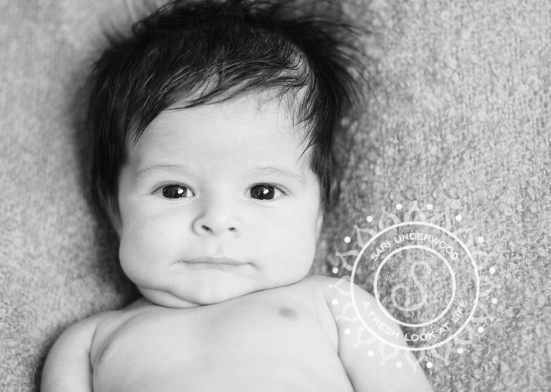 Orlando newborn photographer