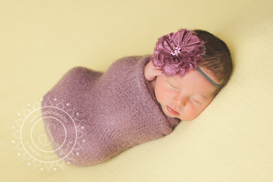 orlando newborn photography