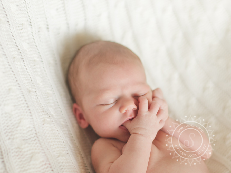 Oviedo newborn photography