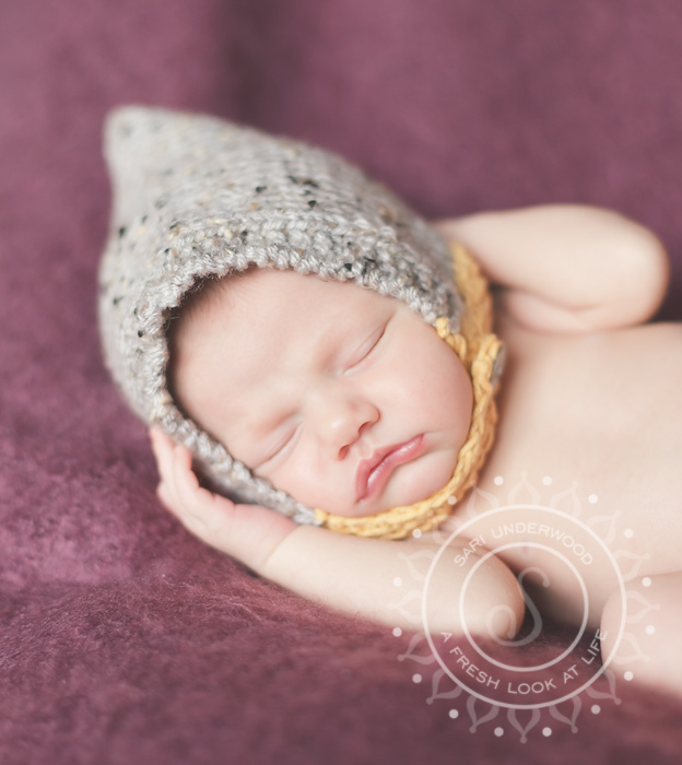 Orlando newborn photography