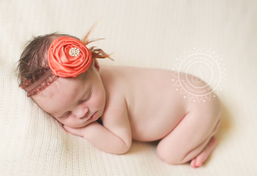 Central Florida newborn photographer