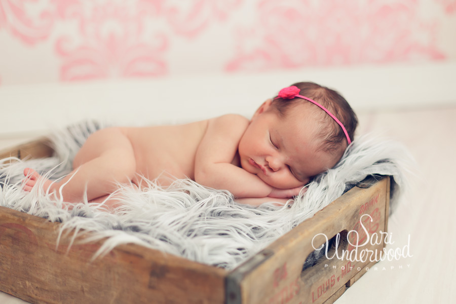 Space Coast newborn photographer