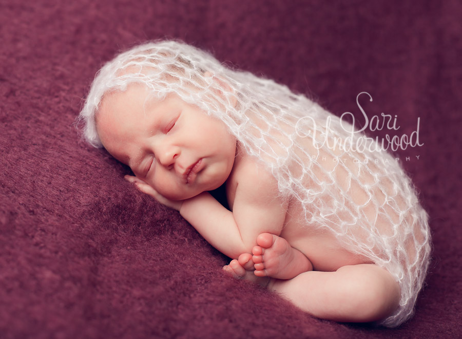 Ocoee newborn photographer