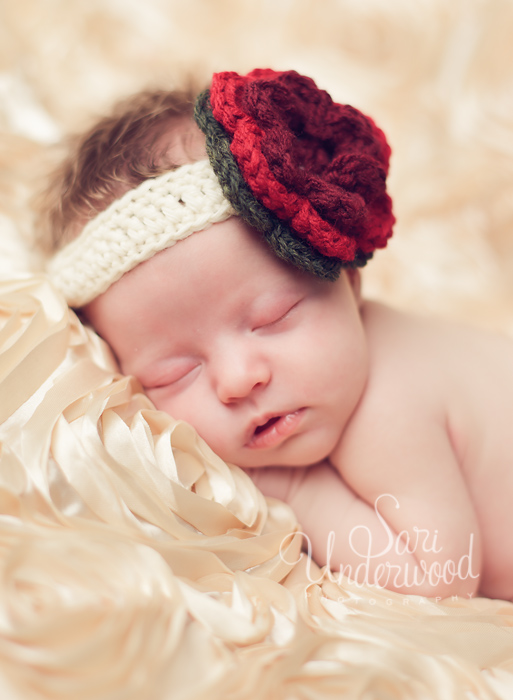 orlando newborn photography