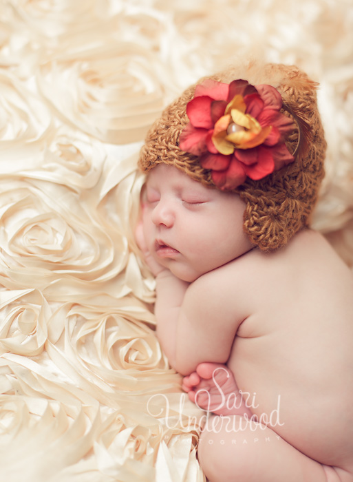 custom newborn portraits orlando