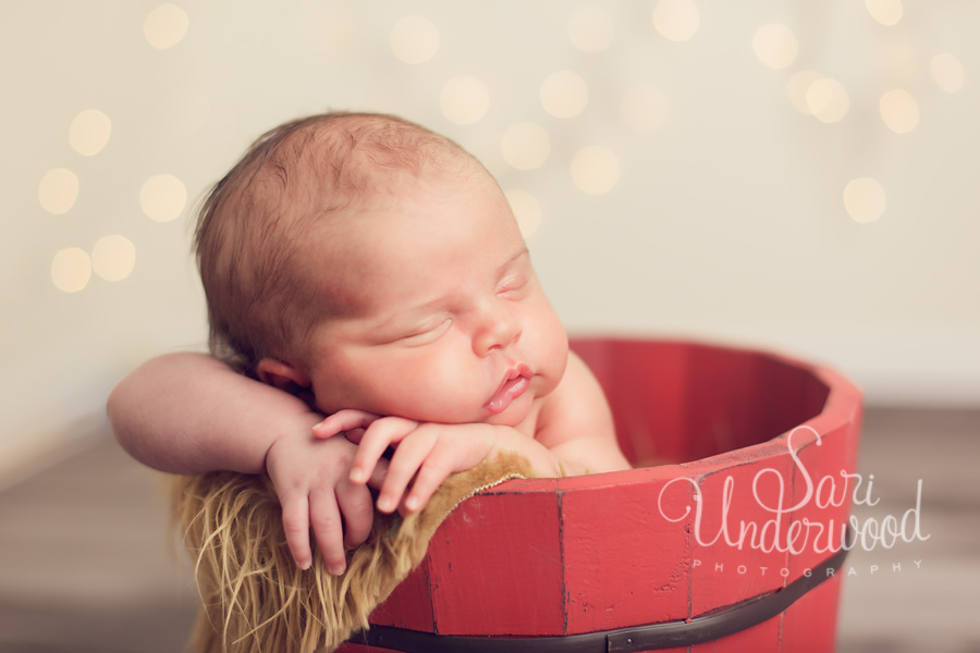 winter park newborn photographer