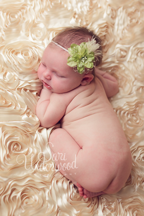 orlando newborn photos