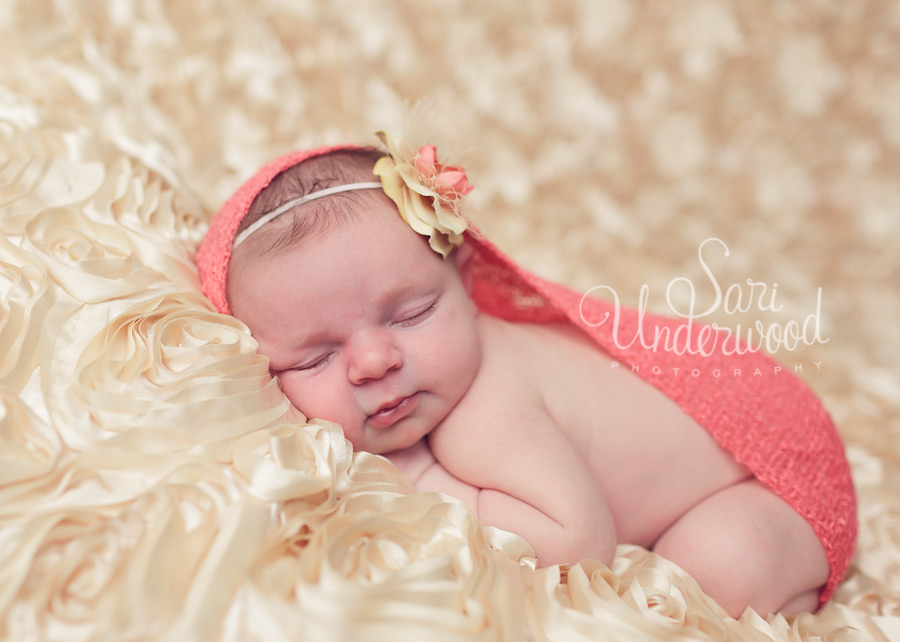 infant photography orlando