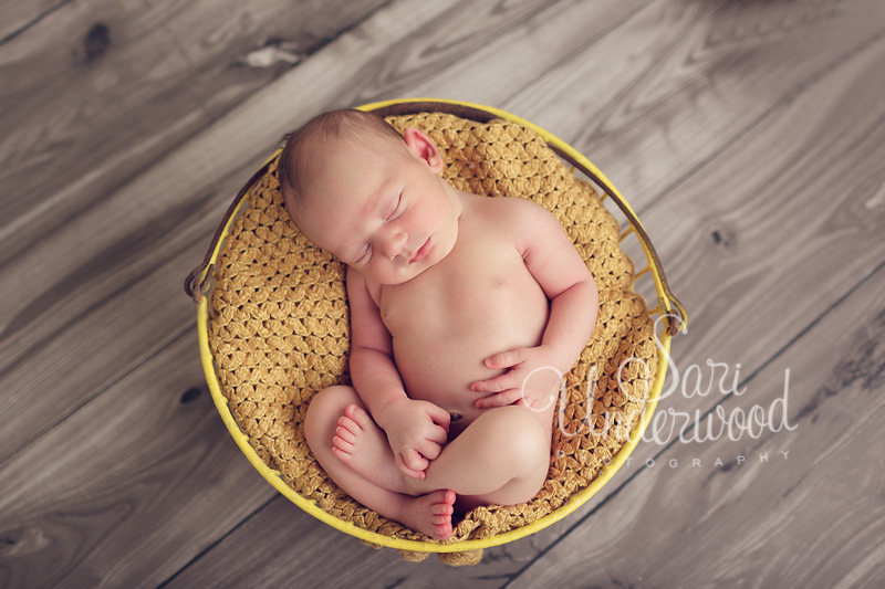 Melbourne, FL newborn photographer