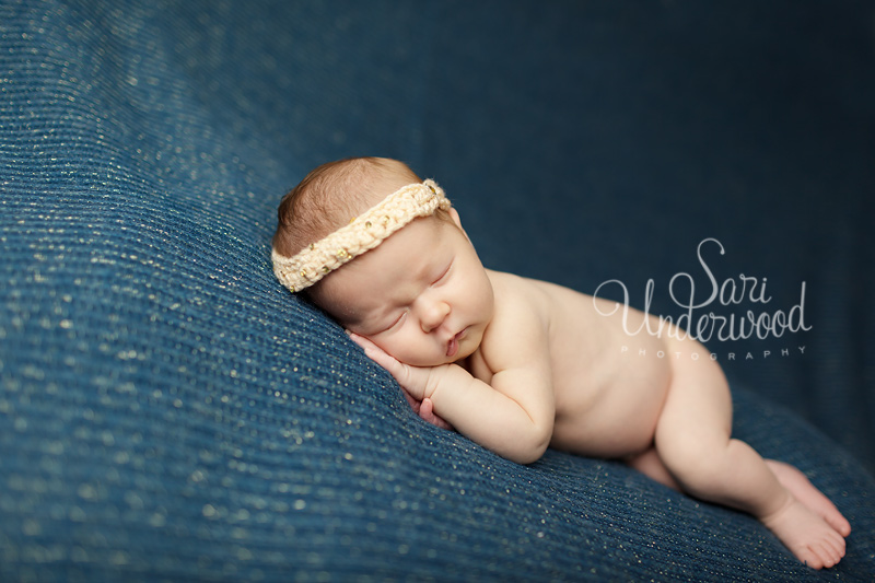 modern newborn portraits winter park