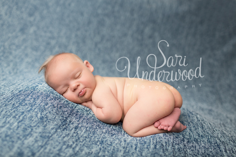 central florida newborn photographer