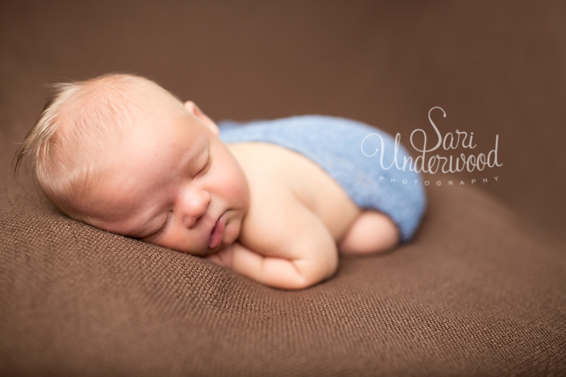 clermont newborn photographer