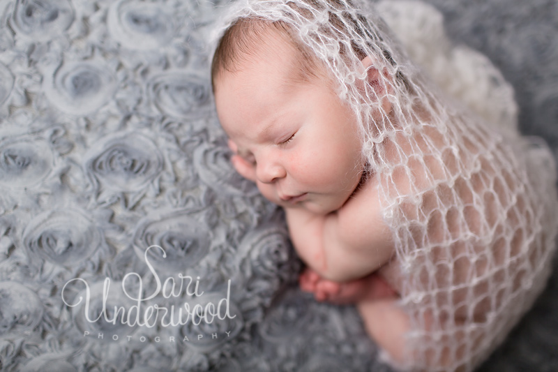 orlando artistic newborn portraits