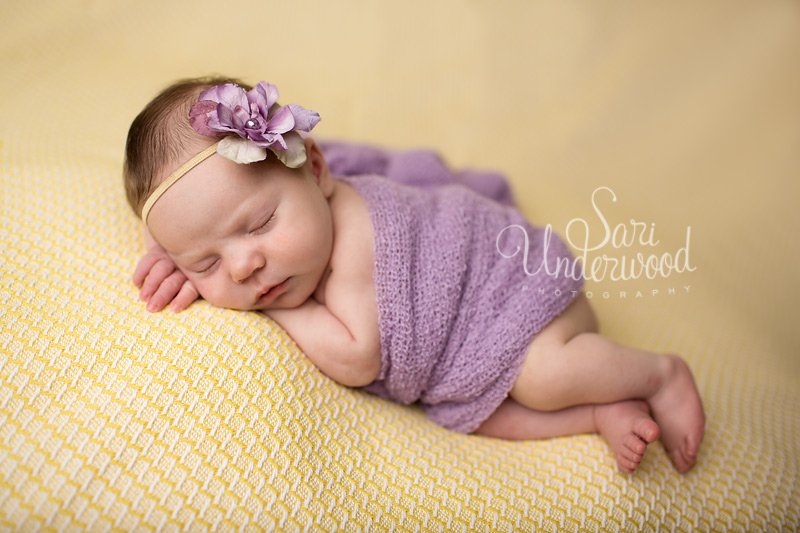 orlando exclusive newborn photographer