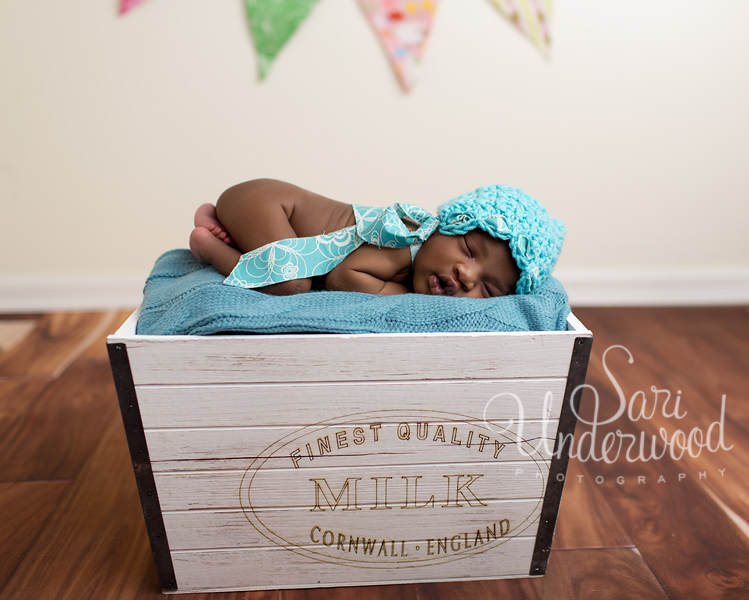 central florida premier newborn photographer