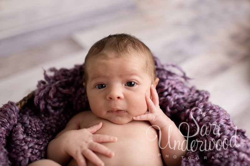 waterford lakes orlando area newborn photographer