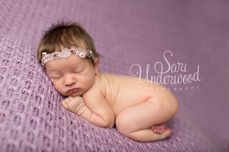 central florida newborn photographer