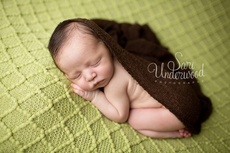 Central Florida newborn photography