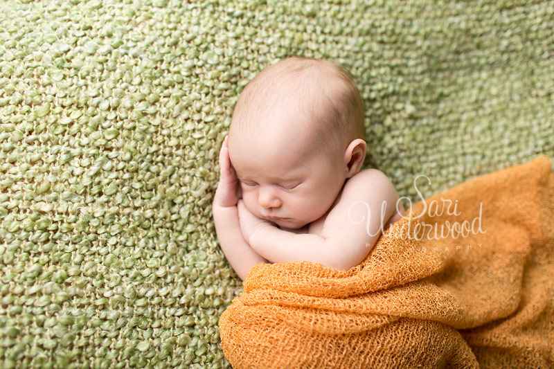 lake mary newborn photography