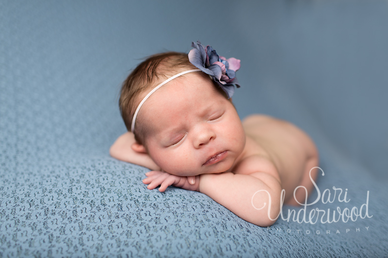 central florida newborn baby photographer