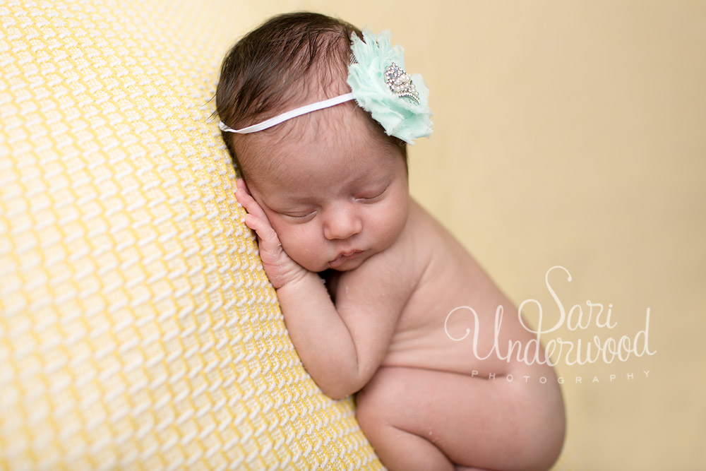 custom newborn portraits in orlando, fl