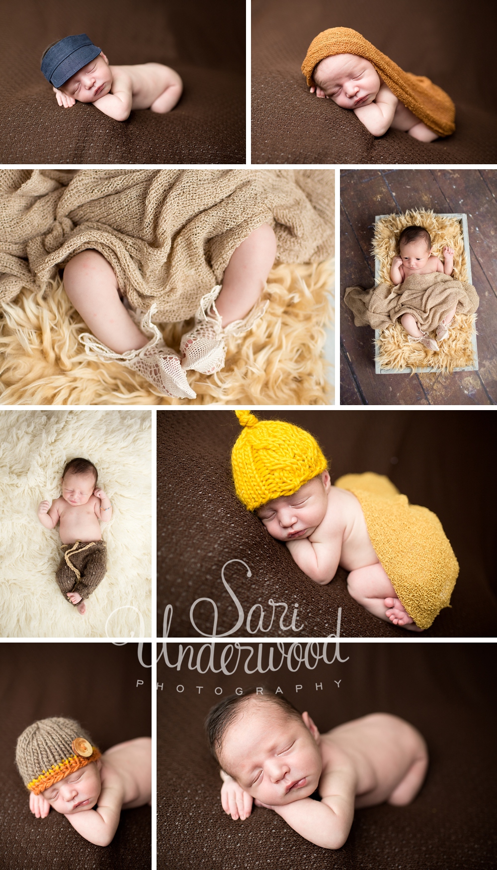 orlando newborn photography sessions