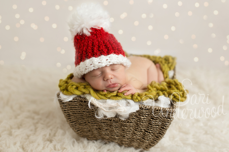 orlando newborn photographers