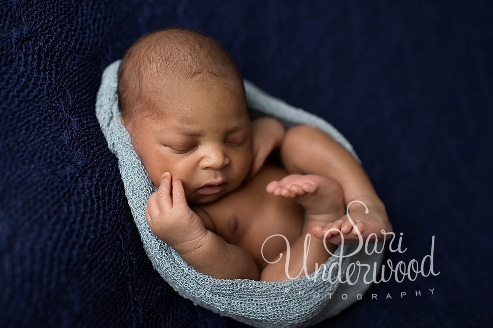 ocoee newborn photographer