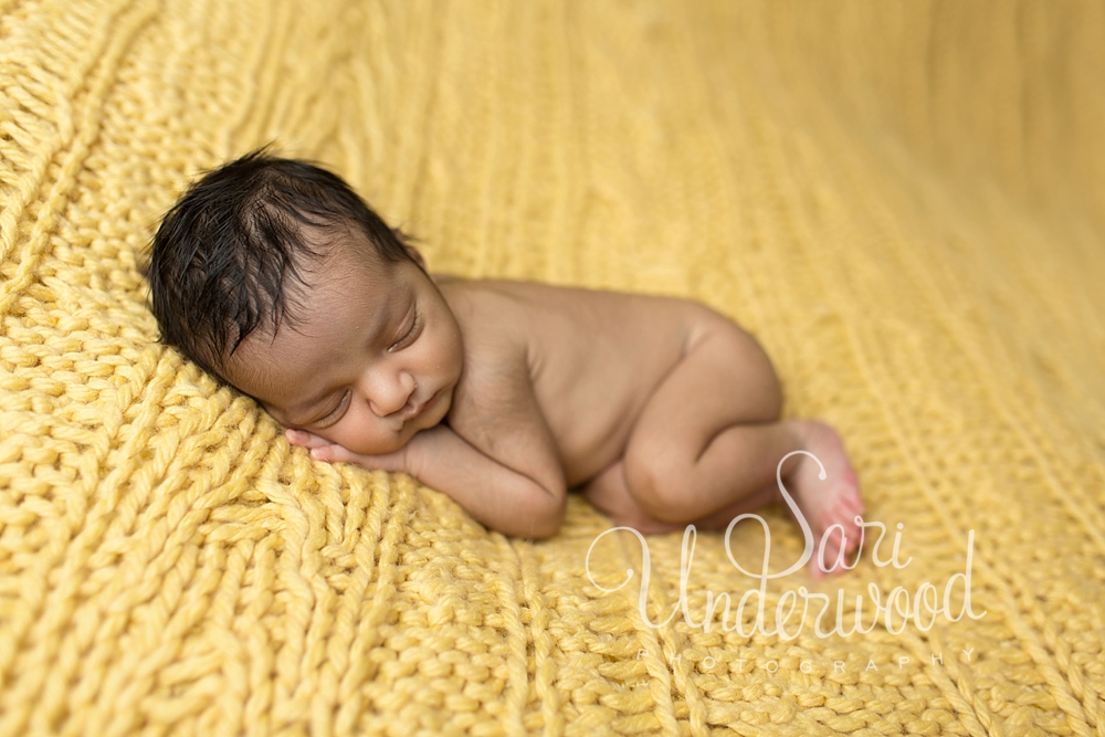 winter garden newborn baby photographer 1