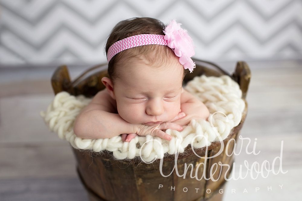 winter park newborn photographer