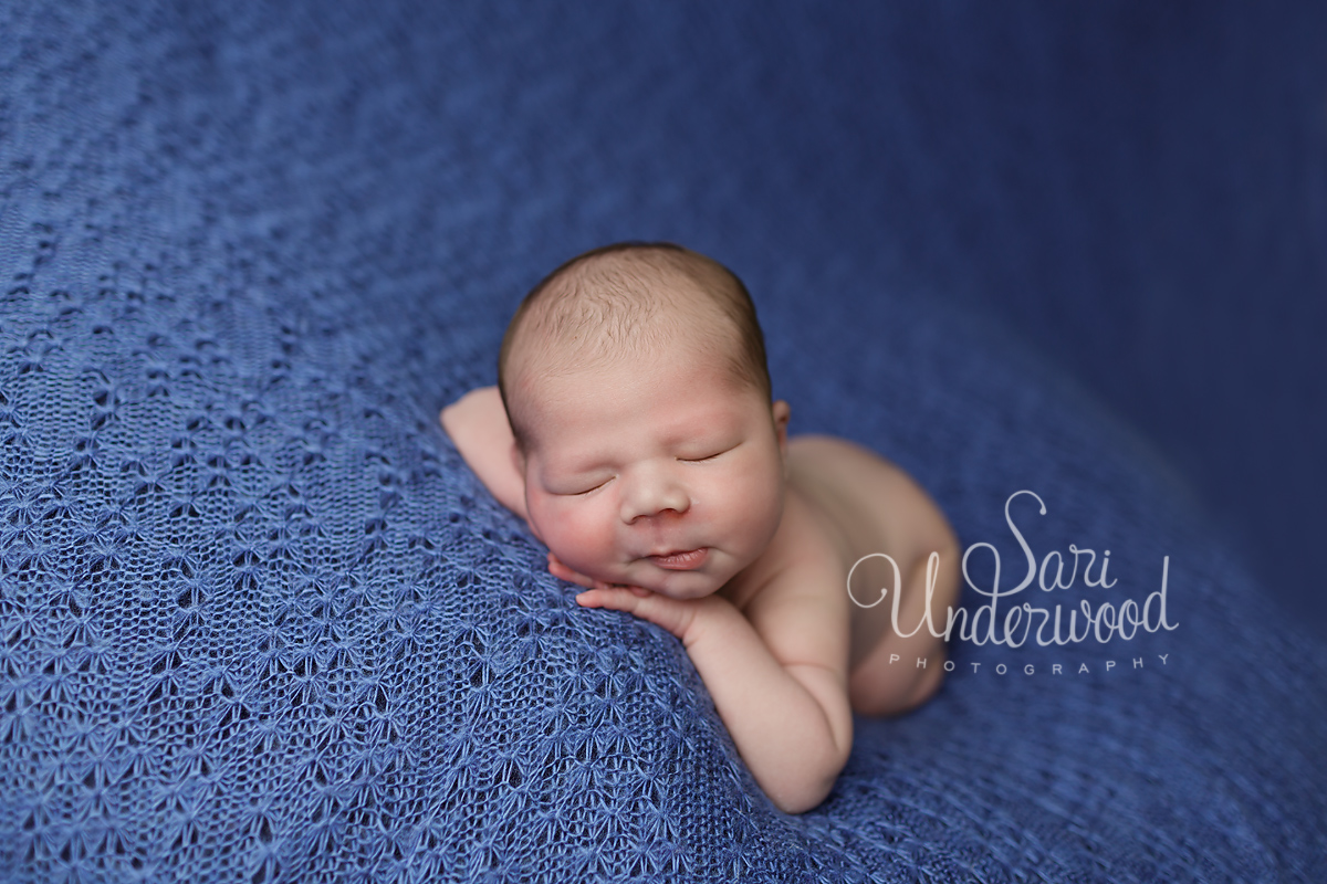 oviedo newborn photography