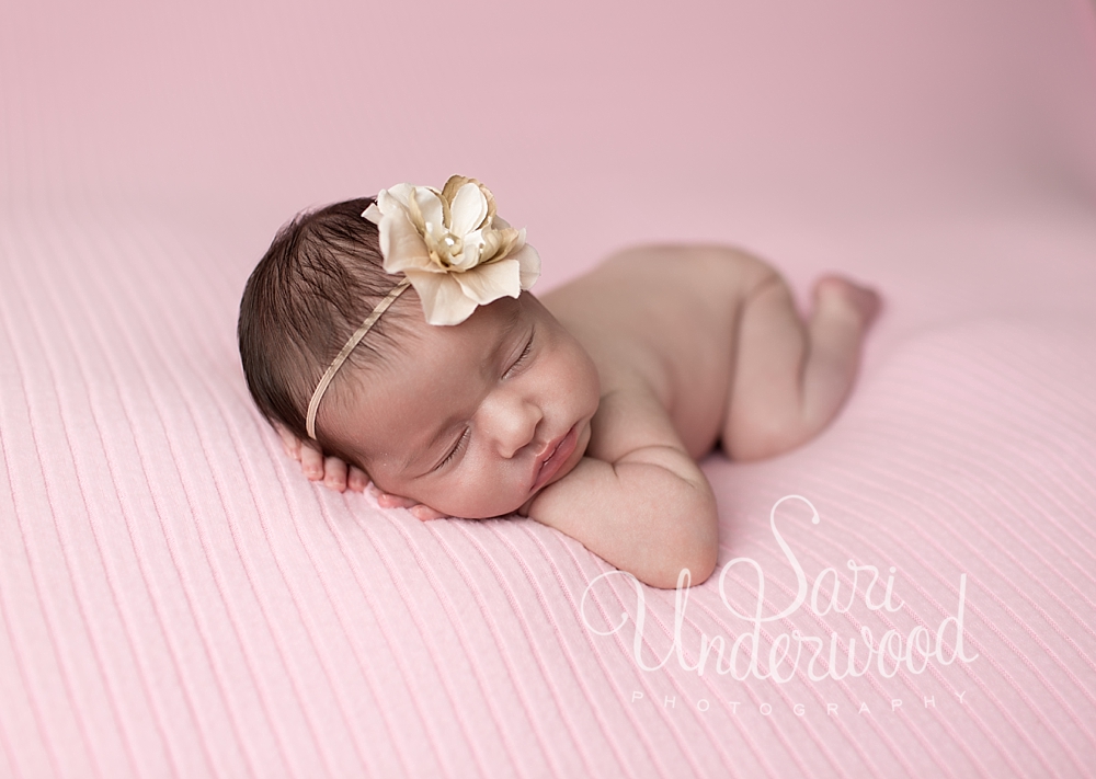 windermere newborn photographer