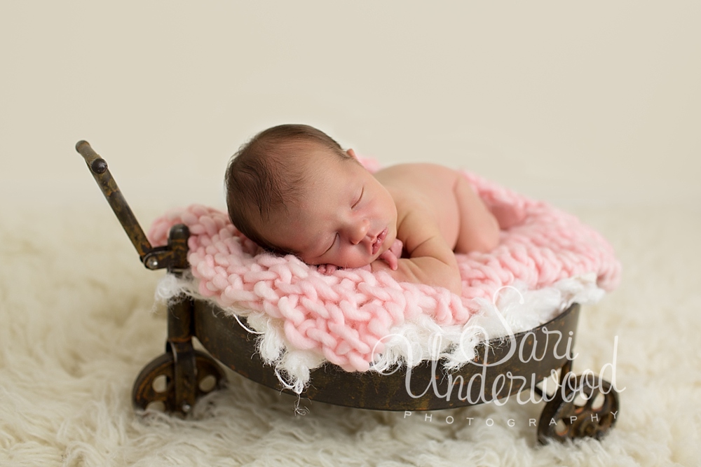 Brevard County Newborn Photographer