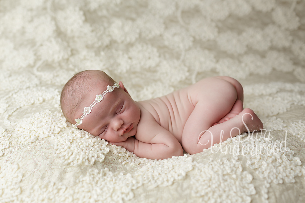 Orlando Newborn Portraits