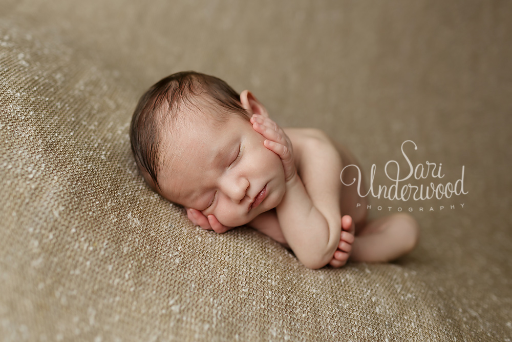 Lake Mary, FL newborn photography