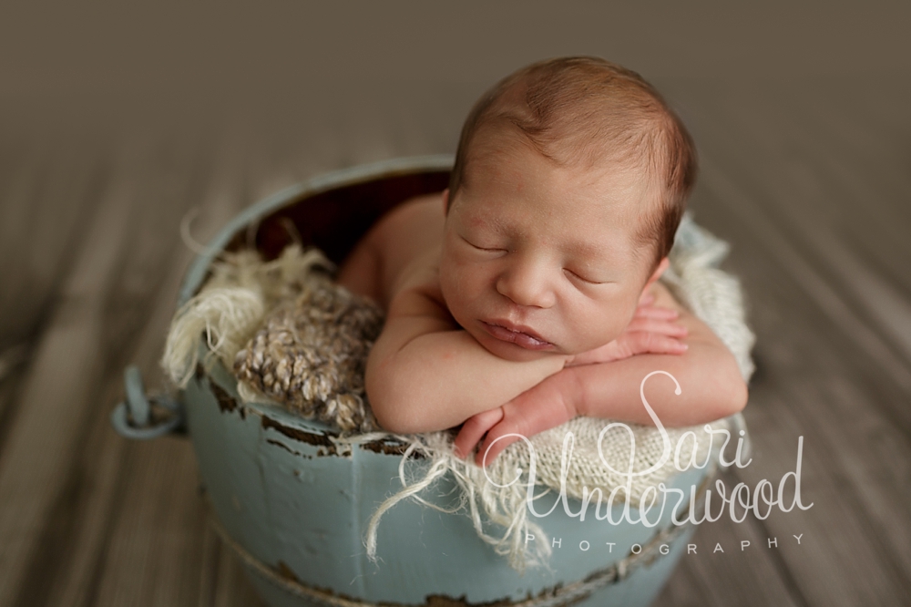 modern newborn photos orlando