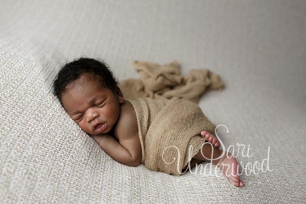 newborn photographer orlando