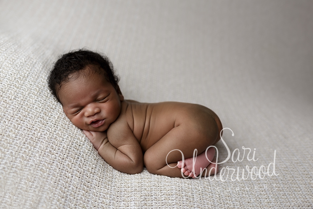 orlando newborn photographer