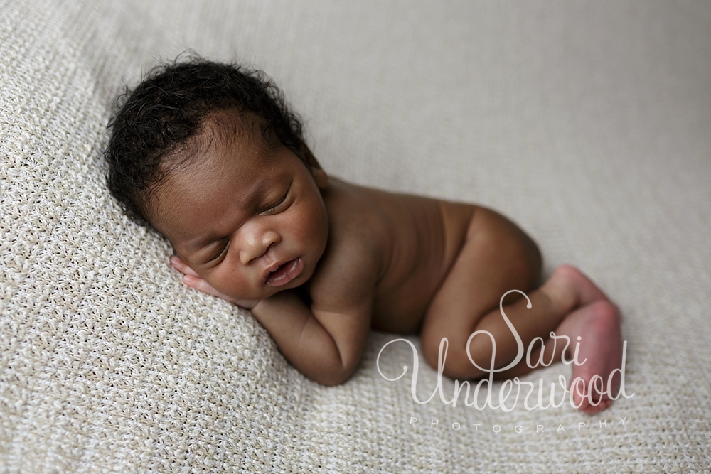 fine art newborn photography orlando