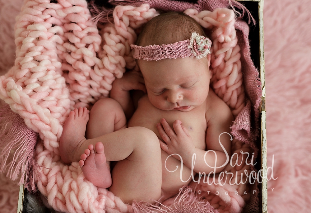 newborn photography